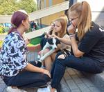 Pupile Wety jedzą marchewki i piją miodek