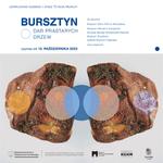 Wystawa bursztynu na 75-lecie Muzeum Północno-Mazowieckiego w Łomży | xlomza.pl