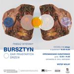 Finisaż wystawy bursztynu w Muzeum Północno-Mazowieckim | xlomza.pl