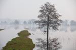 Narew opada