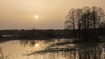 Mętne niebo nad Łomżą - pył znad Sahary