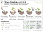 4 tysiące drzewek dla mieszkańców Ziemi Łomżyńskiej