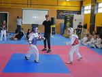 XII Otwarte Mistrzostwa Łomży w Taekwondo Olimpijskim o Puchar Prezydenta | xlomza.pl