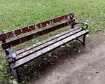 Mieszkańcy zapraszają prezydenta miasta do parku
