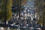 Przy cmentarzach zmiana organizacji ruchu