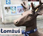 Łomżuś - tak będzie nazywał się jelonek | xlomza.pl