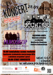 Rockowe koncerty w ramach "Dom Kultury +" | xlomza.pl