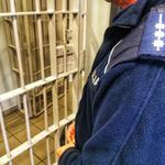 Pożyczył samochód pełen paczek | xlomza.pl