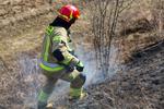 Pożar traw na fortach w Piątnicy