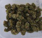 Łomżyńscy kryminalni przeszkodzili w rodzinnym narkobiznesie | xlomza.pl