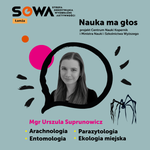 SOWA zaprasza na Noc Spadających Gwiazd