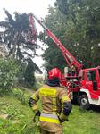 Silny wiatr dał się we znaki. Samochód wjechał w powalone drzewo
