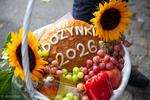 Za plon, chleb i trud rolników. Diecezjalno-gminne dożynki w Łomży